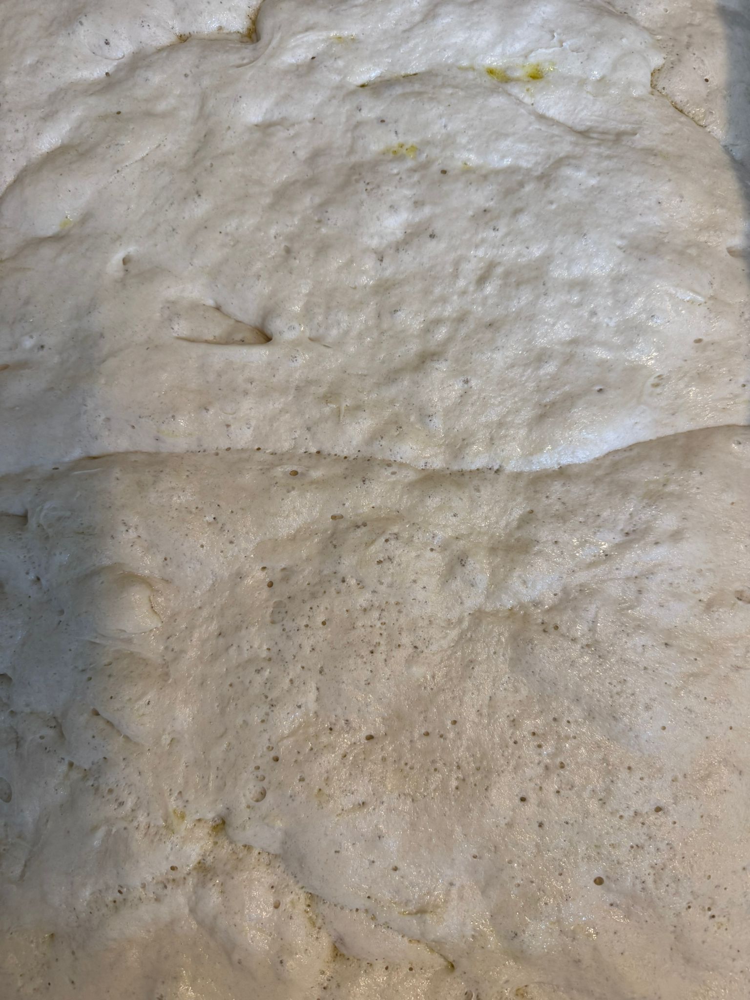 Hand-stretched fresh dough close-up