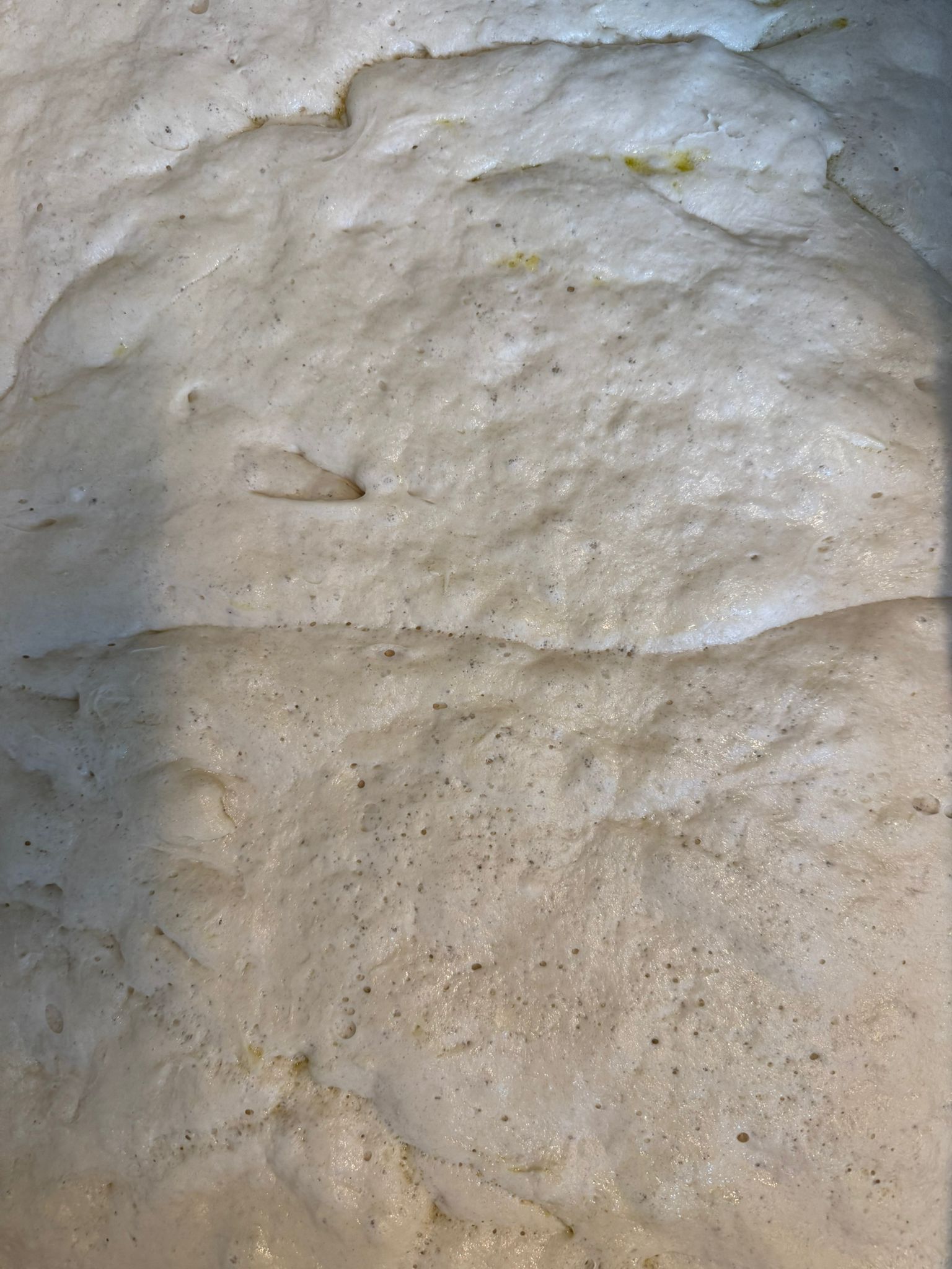 Airy dough crust, ready for the fire