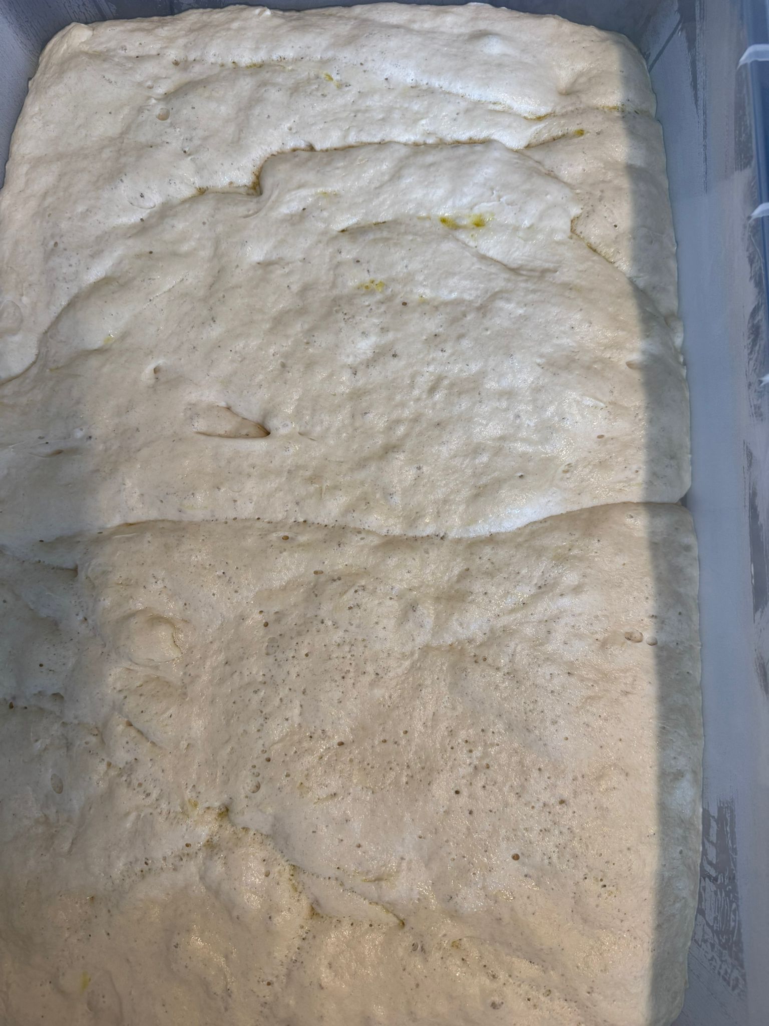 Slow-proved Neapolitan dough resting